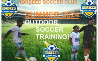 Horseed Youth Development Summer 2024 Program Registration is NOW Open!